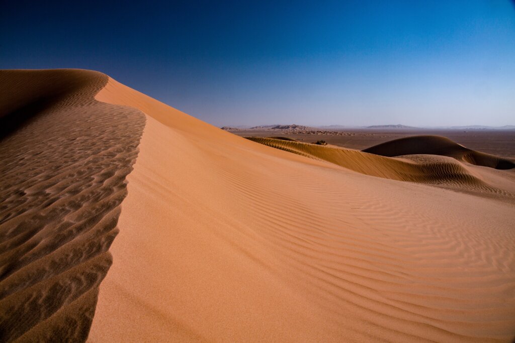 Abu Dhabi desert